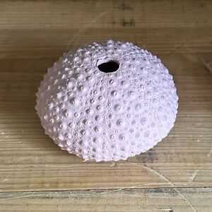 Vintage 1992 Sea urchin incense burner